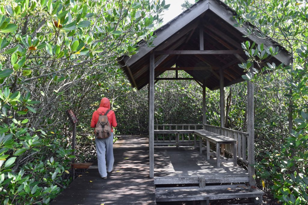Gazebo di tengah mangrove